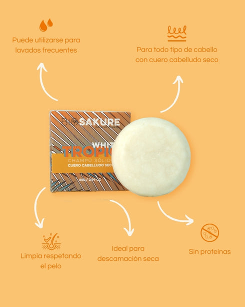 pack champú sólidos cuero cabelludo seco, normal y graso